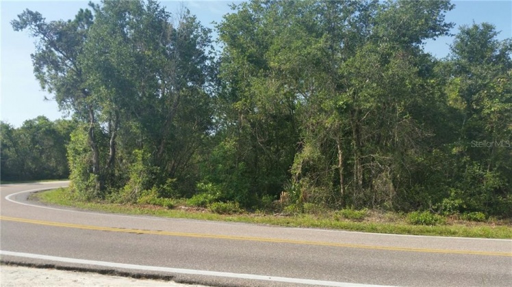 MIDWAY ROAD, HAINES CITY, Florida 33844, ,Land,For Sale,MIDWAY,P4901143