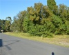 1919 OLD BARTOW ROAD, LAKE WALES, Florida 33859, ,Land,For Sale,OLD BARTOW,P4908853