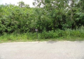 MOUNTAIN DRIVE, BABSON PARK, Florida 33827, ,Land,For Sale,MOUNTAIN,S5021909