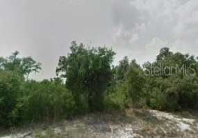 BOWFIN LANE, POINCIANA, Florida 34759, ,Land,For Sale,BOWFIN,S4846062