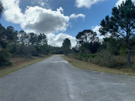 BOWFIN LANE, POINCIANA, Florida 34759, ,Land,For Sale,BOWFIN,S4846062