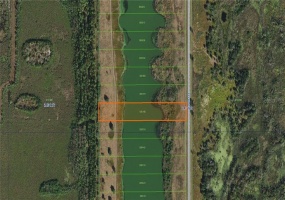 10279 HWY 555, FORT MEADE, Florida 33841, ,Land,For Sale,HWY 555,O5909484