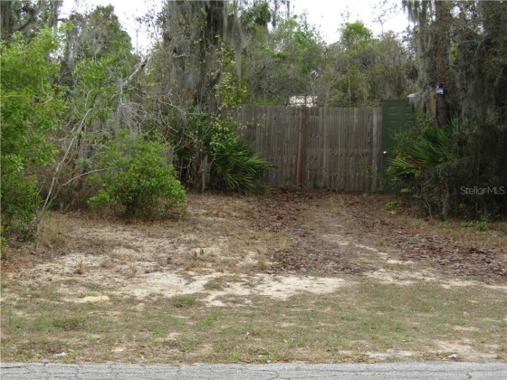 ADELL ROAD, LAKE WALES, Florida 33898, ,Land,For Sale,ADELL,P4910210
