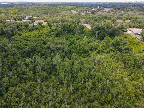 HAINES CITY, Florida 33844, ,Land,For Sale,P4915494