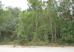 PHILLIPS ROAD, LAKE WALES, Florida 33898, ,Land,For Sale,PHILLIPS,P4915508