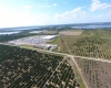 T S WILSON ROAD, FROSTPROOF, Florida 33843, ,Land,For Sale,T S WILSON,P4915502