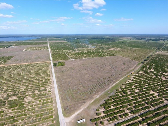 T S WILSON ROAD, FROSTPROOF, Florida 33843, ,Land,For Sale,T S WILSON,P4915502