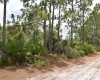 EL DORADO DRIVE, LAKE WALES, Florida 33898, ,Land,For Sale,EL DORADO,L4923623