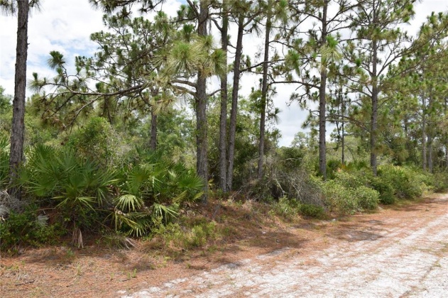 EL DORADO DRIVE, LAKE WALES, Florida 33898, ,Land,For Sale,EL DORADO,L4923623