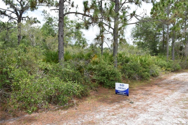 EL DORADO DRIVE, LAKE WALES, Florida 33898, ,Land,For Sale,EL DORADO,L4923623