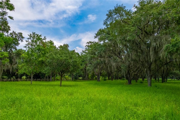 0 COUNTRY CLUB ROAD, WINTER HAVEN, Florida 33881, ,Land,For Sale,COUNTRY CLUB,P4916367