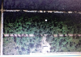 217 CAMELLIA DRIVE, INDIAN LAKE ESTATES, Florida 33855, ,Land,For Sale,CAMELLIA,O5956841