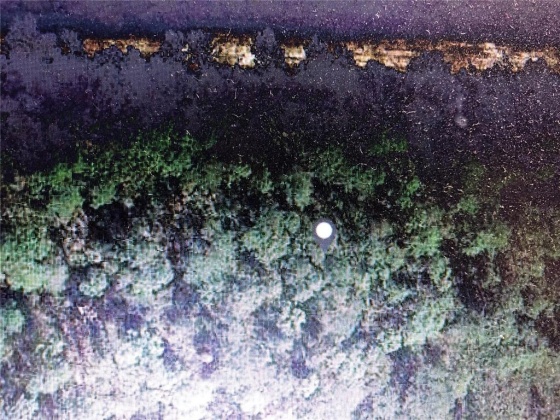 217 CAMELLIA DRIVE, INDIAN LAKE ESTATES, Florida 33855, ,Land,For Sale,CAMELLIA,O5956841