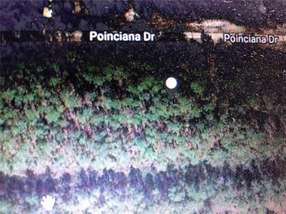 1013 POINCIANA DRIVE, INDIAN LAKE ESTATES, Florida 33855, ,Land,For Sale,POINCIANA,O5957155