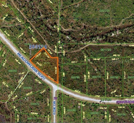 MEADOWLARK BOULEVARD, LAKE WALES, Florida 33898, ,Land,For Sale,MEADOWLARK,S5053500