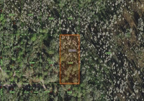 INACCESSIBLE TRACT, KATHLEEN, Florida 33849, ,Land,For Sale,INACCESSIBLE TRACT,B4900771