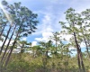 0 BOUGAINVILLEA, INDIAN LAKE ESTATES, Florida 33855, ,Land,For Sale,BOUGAINVILLEA,P4916415