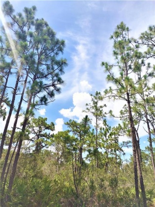 0 BOUGAINVILLEA, INDIAN LAKE ESTATES, Florida 33855, ,Land,For Sale,BOUGAINVILLEA,P4916415