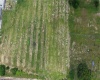 COUNTY ROAD 630 E, FROSTPROOF, Florida 33843, ,Land,For Sale,COUNTY ROAD 630 E,K4901427
