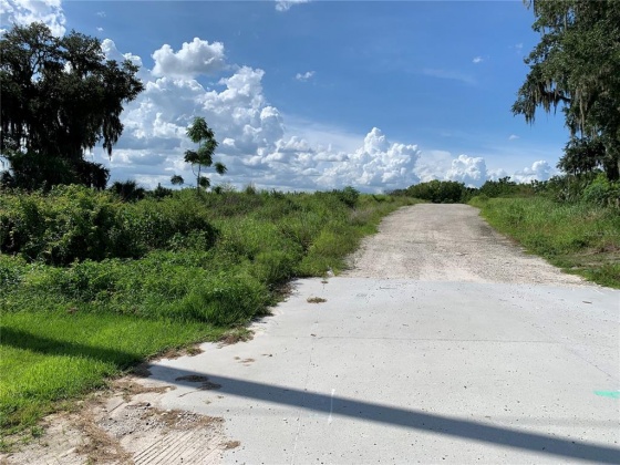 HWY 60, BARTOW, Florida 33830, ,Land,For Sale,HWY 60,L4924235