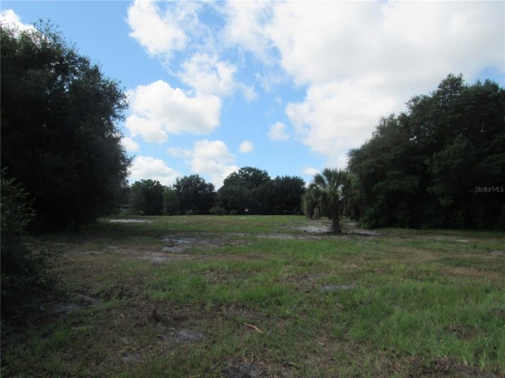STATE ROAD 60, BARTOW, Florida 33830, ,Land,For Sale,STATE ROAD 60,T3321635