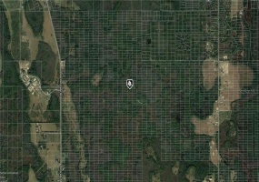 SWEET HILL ROAD, POLK CITY, Florida 33868, ,Land,For Sale,SWEET HILL,A4489266