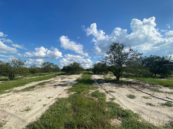 MOUNTAIN DR (THREE LOTS), BABSON PARK, Florida 33827, ,Land,For Sale,MOUNTAIN DR (THREE LOTS),K4901470