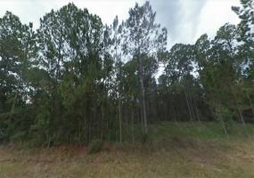 606 TROPICANA DRIVE, INDIAN LAKE ESTATES, Florida 33855, ,Land,For Sale,TROPICANA,O5969740