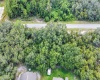 111 WARMOUTH LANE, POINCIANA, Florida 34759, ,Land,For Sale,WARMOUTH,O5971443