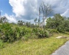 1639 PICKEREL COURT, POINCIANA, Florida 34759, ,Land,For Sale,PICKEREL,O5972049