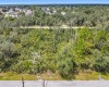 1639 PICKEREL COURT, POINCIANA, Florida 34759, ,Land,For Sale,PICKEREL,O5972049
