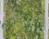 1639 PICKEREL COURT, POINCIANA, Florida 34759, ,Land,For Sale,PICKEREL,O5972049