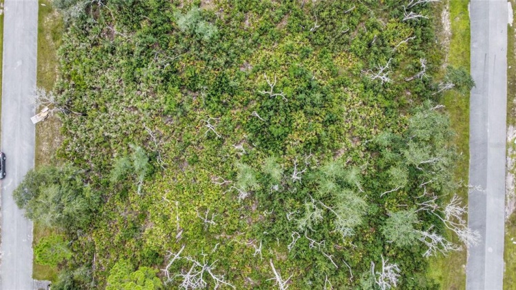 1639 PICKEREL COURT, POINCIANA, Florida 34759, ,Land,For Sale,PICKEREL,O5972049