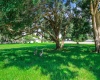151 LAKEVIEW BOULEVARD, LAKE ALFRED, Florida 33850, 3 Bedrooms Bedrooms, ,3 BathroomsBathrooms,Residential,For Sale,LAKEVIEW,P4917458