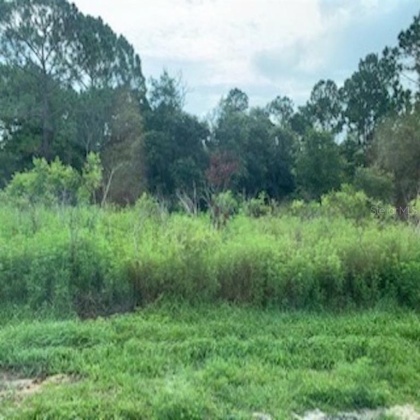 604 MARLIN WAY, POINCIANA, Florida 34759, ,Land,For Sale,MARLIN,O5862492