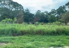 BOWFIN COURT, POINCIANA, Florida 34759, ,Land,For Sale,BOWFIN,O5862509