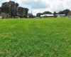 PALMETTO AVENUE, FROSTPROOF, Florida 33843, ,Land,For Sale,PALMETTO,K4901511