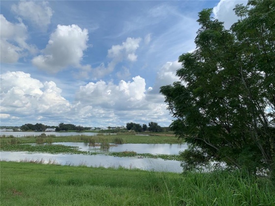 108 CALADIUM AVENUE, LAKE ALFRED, Florida 33850, ,Land,For Sale,CALADIUM,L4925541