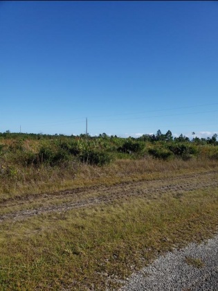 317 CALENDULA DRIVE, INDIAN LAKE ESTATES, Florida 33855, ,Land,For Sale,CALENDULA,T3331756
