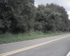 AVON PARK CUTOFF EAST ROAD, FROSTPROOF, Florida 33843, ,Land,For Sale,AVON PARK CUTOFF EAST,L4925544