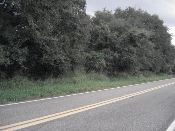 AVON PARK CUTOFF EAST ROAD, FROSTPROOF, Florida 33843, ,Land,For Sale,AVON PARK CUTOFF EAST,L4925544