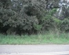 AVON PARK CUTOFF EAST ROAD, FROSTPROOF, Florida 33843, ,Land,For Sale,AVON PARK CUTOFF EAST,L4925544
