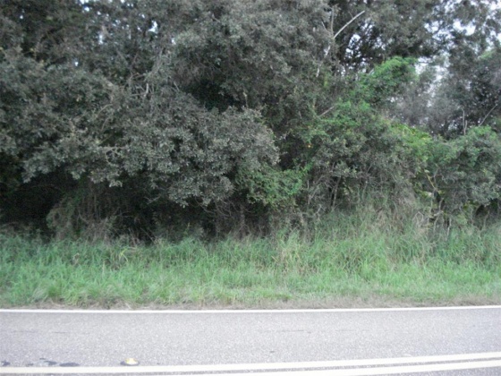 AVON PARK CUTOFF EAST ROAD, FROSTPROOF, Florida 33843, ,Land,For Sale,AVON PARK CUTOFF EAST,L4925544