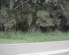 AVON PARK CUTOFF EAST ROAD, FROSTPROOF, Florida 33843, ,Land,For Sale,AVON PARK CUTOFF EAST,L4925544