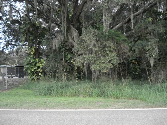 AVON PARK CUTOFF EAST ROAD, FROSTPROOF, Florida 33843, ,Land,For Sale,AVON PARK CUTOFF EAST,L4925544