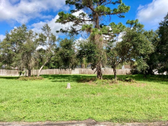 CYPRESS RUN, HAINES CITY, Florida 33844, ,Land,For Sale,CYPRESS,S5056980