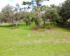 CYPRESS RUN, HAINES CITY, Florida 33844, ,Land,For Sale,CYPRESS,S5056980