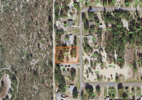 2018 LEMON DRIVE, LAKE WALES, Florida 33898, ,Land,For Sale,LEMON,P4917659