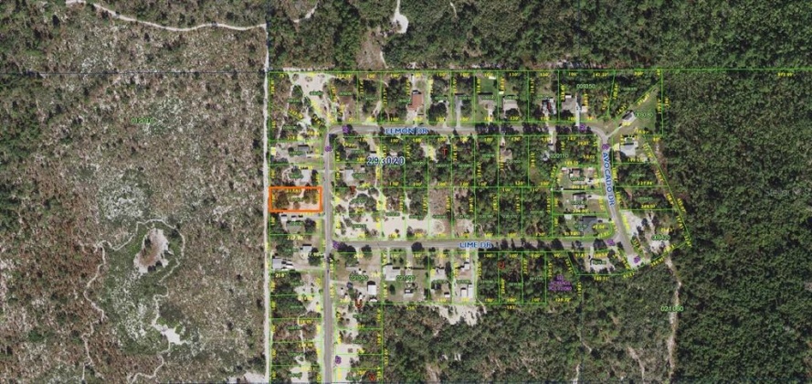 2018 LEMON DRIVE, LAKE WALES, Florida 33898, ,Land,For Sale,LEMON,P4917659