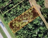 US HWY 27, FROSTPROOF, Florida 33843, ,Land,For Sale,US HWY 27,S5057195